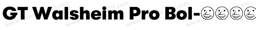 GT Walsheim Pro Bol字体转换